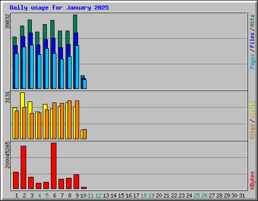 Daily usage for January 2025