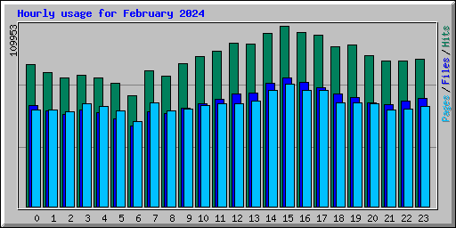 Hourly usage for February 2024