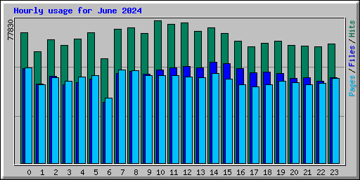 Hourly usage for June 2024