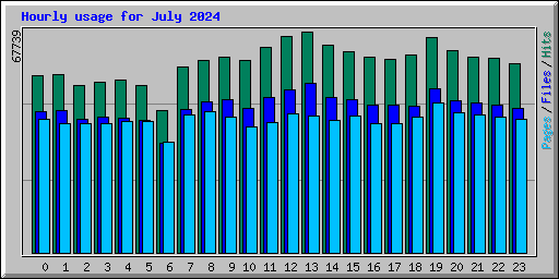 Hourly usage for July 2024