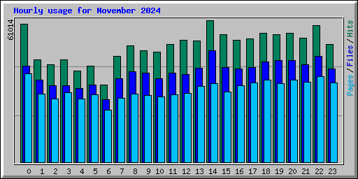 Hourly usage for November 2024