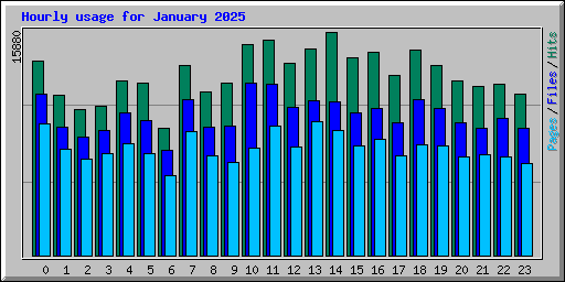 Hourly usage for January 2025